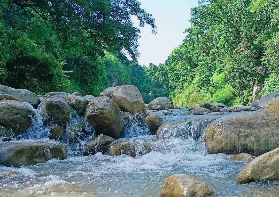 Someshwar Hills Trek near Valmiki Tiger Reserve