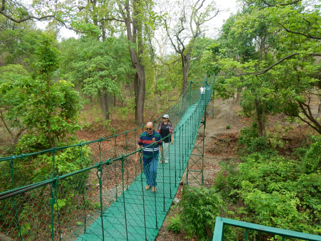 Koleshwar Jhula Pul near Valmiki Tiger Reserve