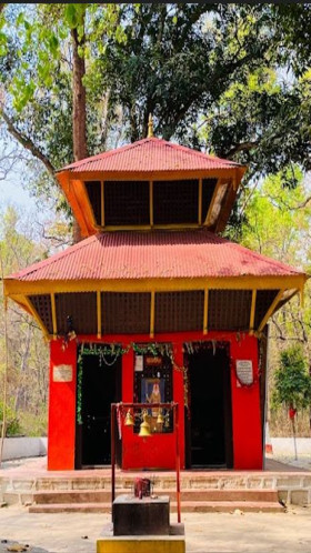 Create memories with cultural programs and wildlife films  near Valmiki Tiger Reserve