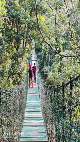Savor local flavors amidst serene landscapes  near Valmiki Tiger Reserve