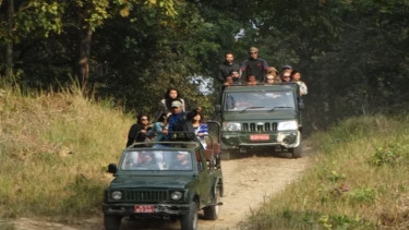 Discover over 250 species of birds in a birder's paradise  near Valmiki Tiger Reserve