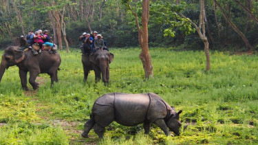 Nature's masterpiece awaits at Valmiki Tiger Reserve  near Valmiki Tiger Reserve